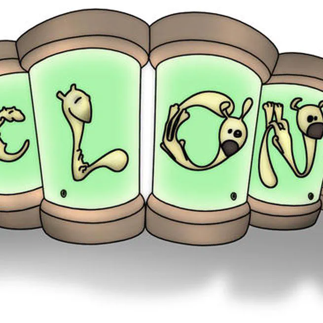 Clon